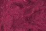 pobg1.gif