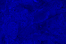 pobg2.gif